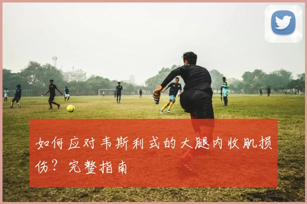 如何应对韦斯利式的大腿内收肌损伤?完整指南
