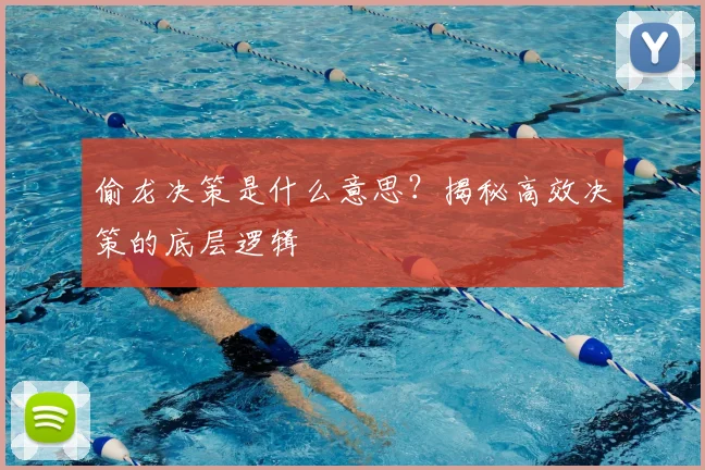 偷龙决策是什么意思？揭秘高效决策的底层逻辑